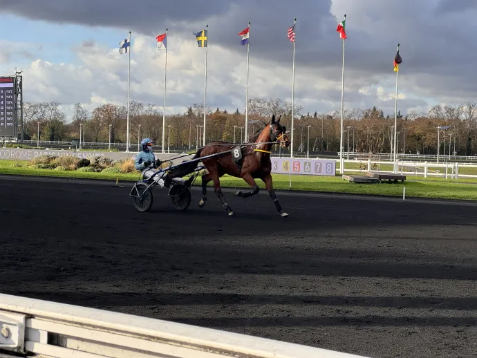 Jokey et son cheval en course